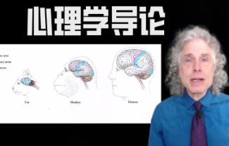【心理学导论】哈佛大学公开课