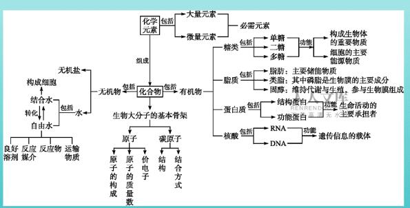 【2023】高中生物必修1课程 【2023】高中生物必修1课程